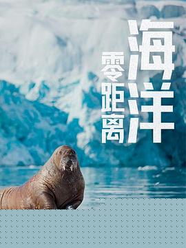 海洋零距离
