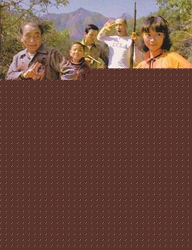 撞到正