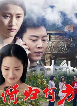 情归何方HD国语