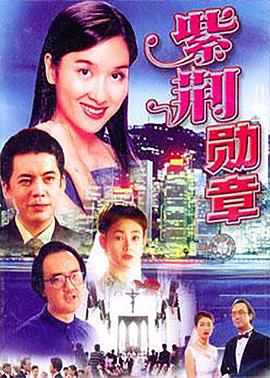 紫荆勋章第6集