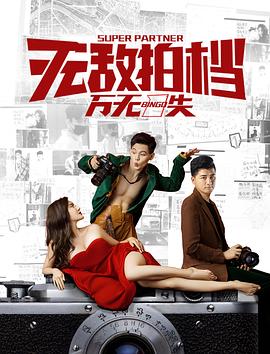 无敌拍档之万无一失HD中字