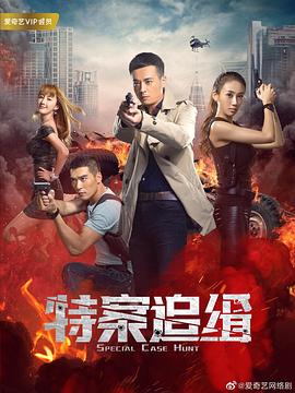 特案追缉第25集
