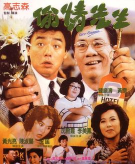 偷情先生国语HD